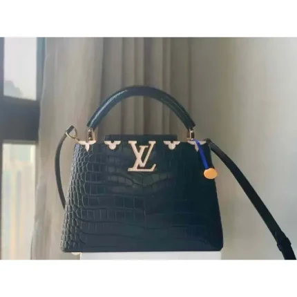 Louis Vuitton Capucnes Mini Hand Bag